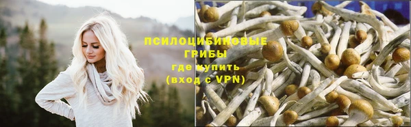 mix Армянск