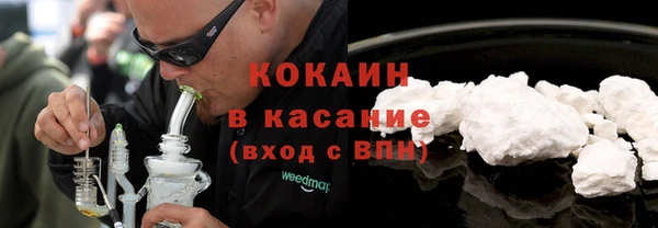 мяу мяу мука Аркадак