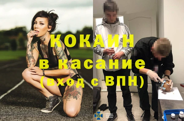 мяу мяу мука Аркадак
